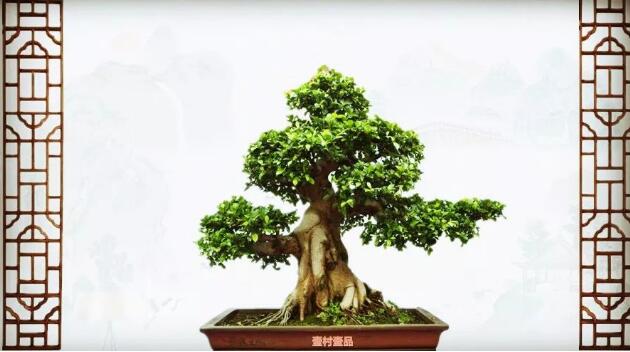 文章附图